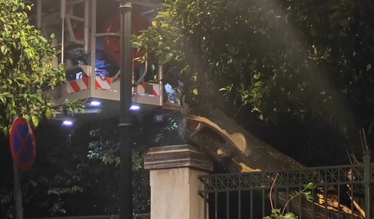 Πτώση μεγάλου δέντρου έξω από το Μέγαρο Μαξίμου: Κλειστή η Ηρώδου Αττικού