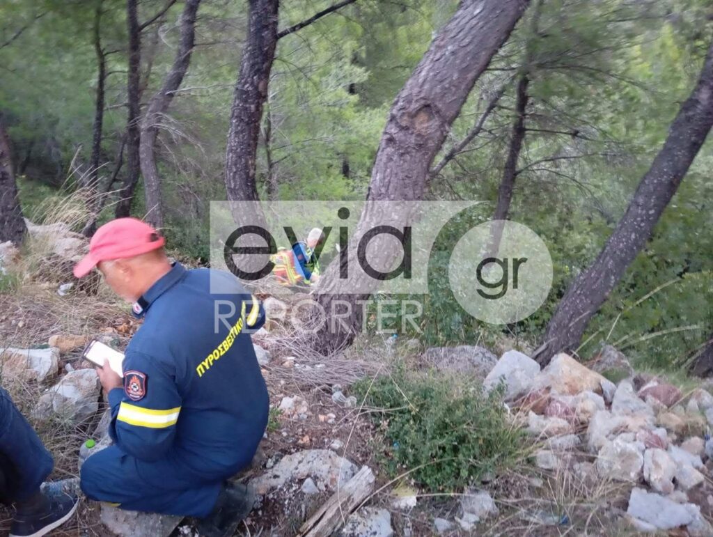 Νέο σοβαρό τροχαίο στην Εύβοια: Αυτοκίνητο έπεσε σε γκρεμό - Παππούς, γιαγιά και εγγόνι 19 μηνών τραυματίστηκαν