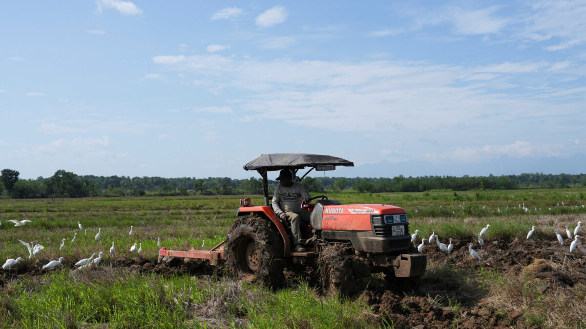 A farmer uses a tractor to plow the field in Dehiattakandiya, Sri Lanka, October 28, 2025.