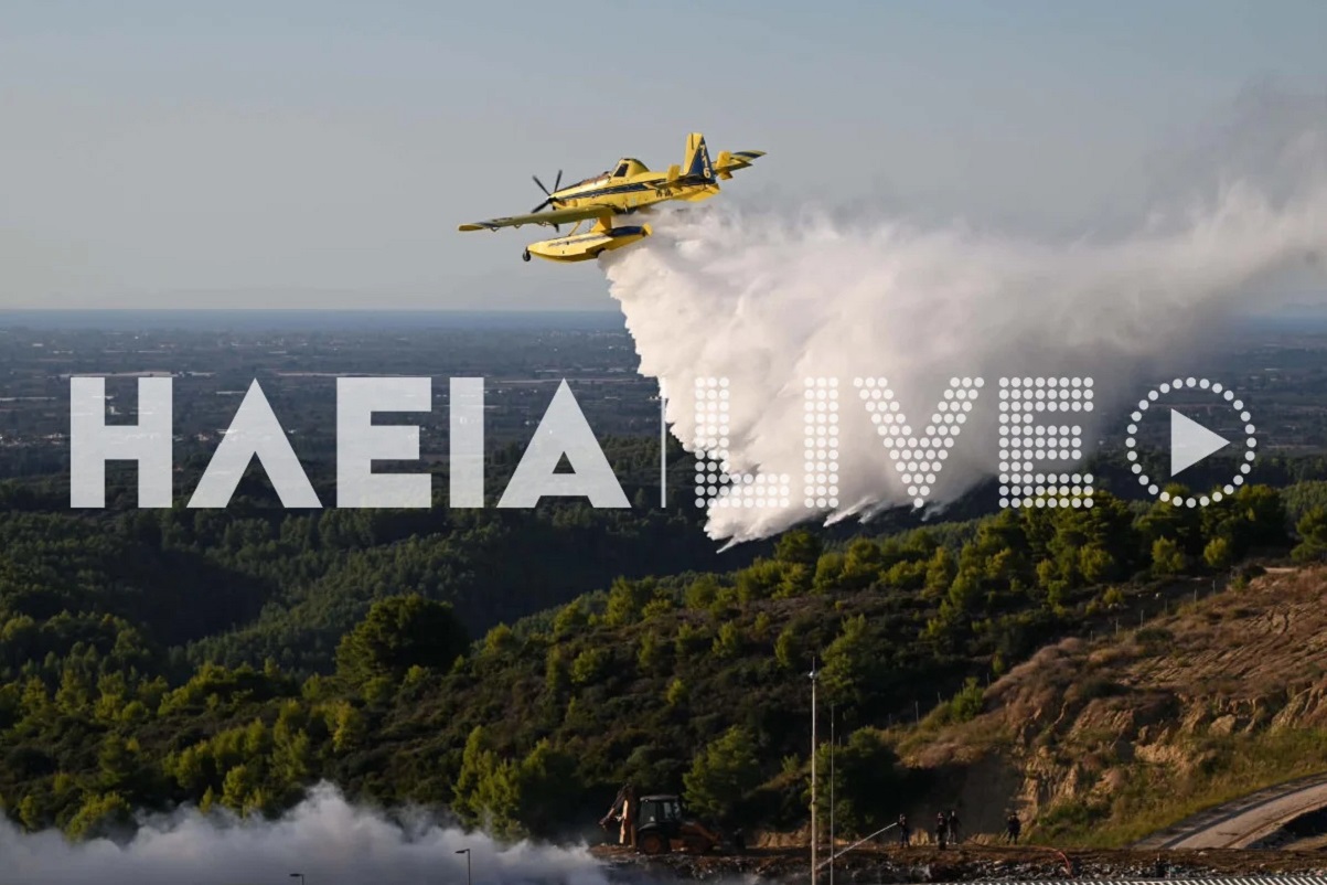 Φωτιά στην Ηλεία στην περιοχή Τριανταφυλλιά – Ισχυρές δυνάμεις στο σημείο