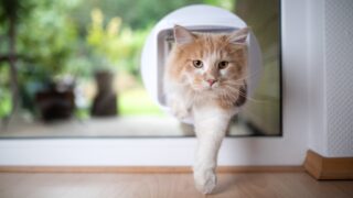 Πηγή φωτό: iStock