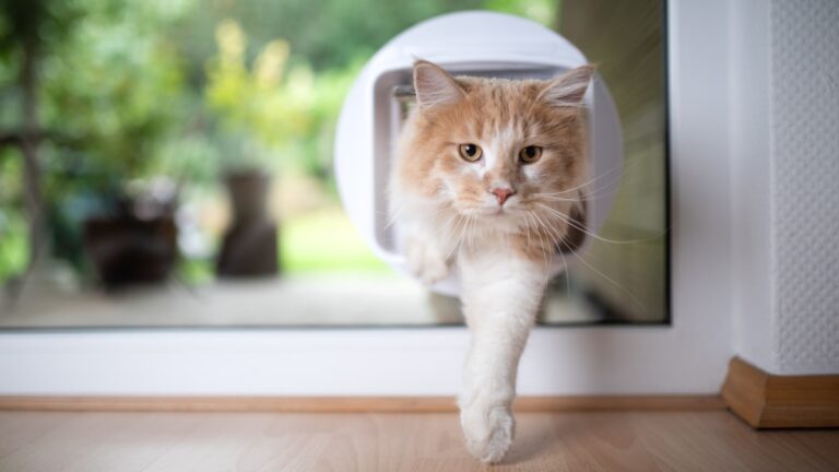 Πηγή φωτό: iStock