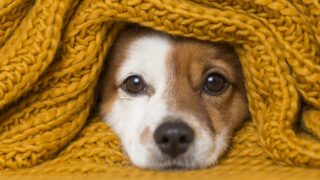 Πηγή φωτό: iStock