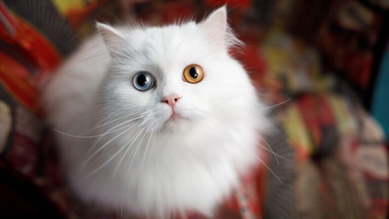 Πηγή φωτό: iStock