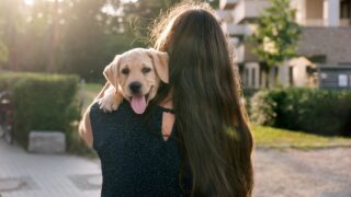 Πηγή φωτό: iStock