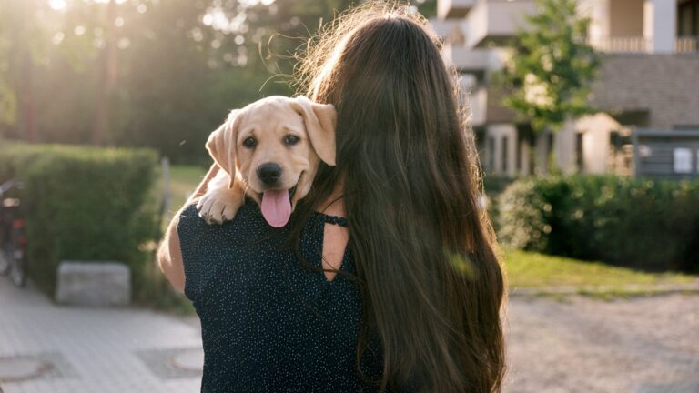 Πηγή φωτό: iStock