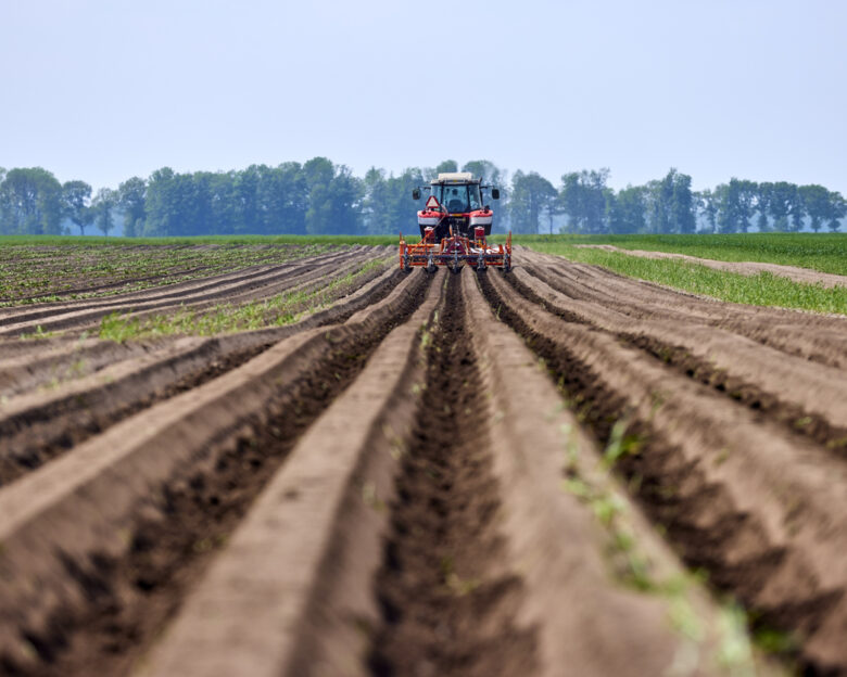 A tractor works the Agriculture potato Field on a summer day