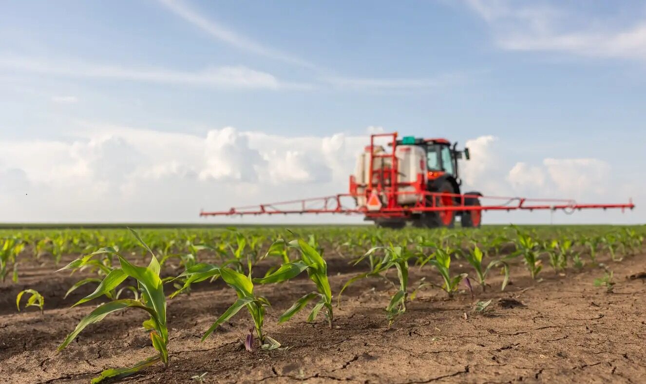 Tractor spraying pesticides on corn field with sprayer at spring