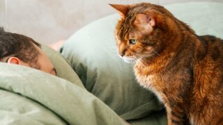 Πηγή φωτό: iStock