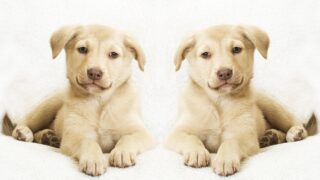 Πηγή φωτό: iStock
