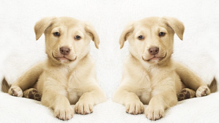 Πηγή φωτό: iStock