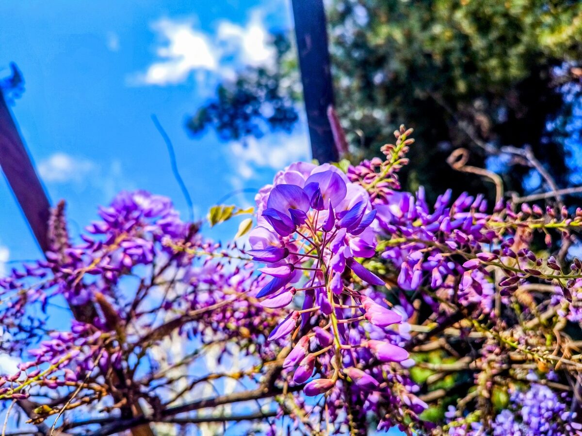 Καιρός