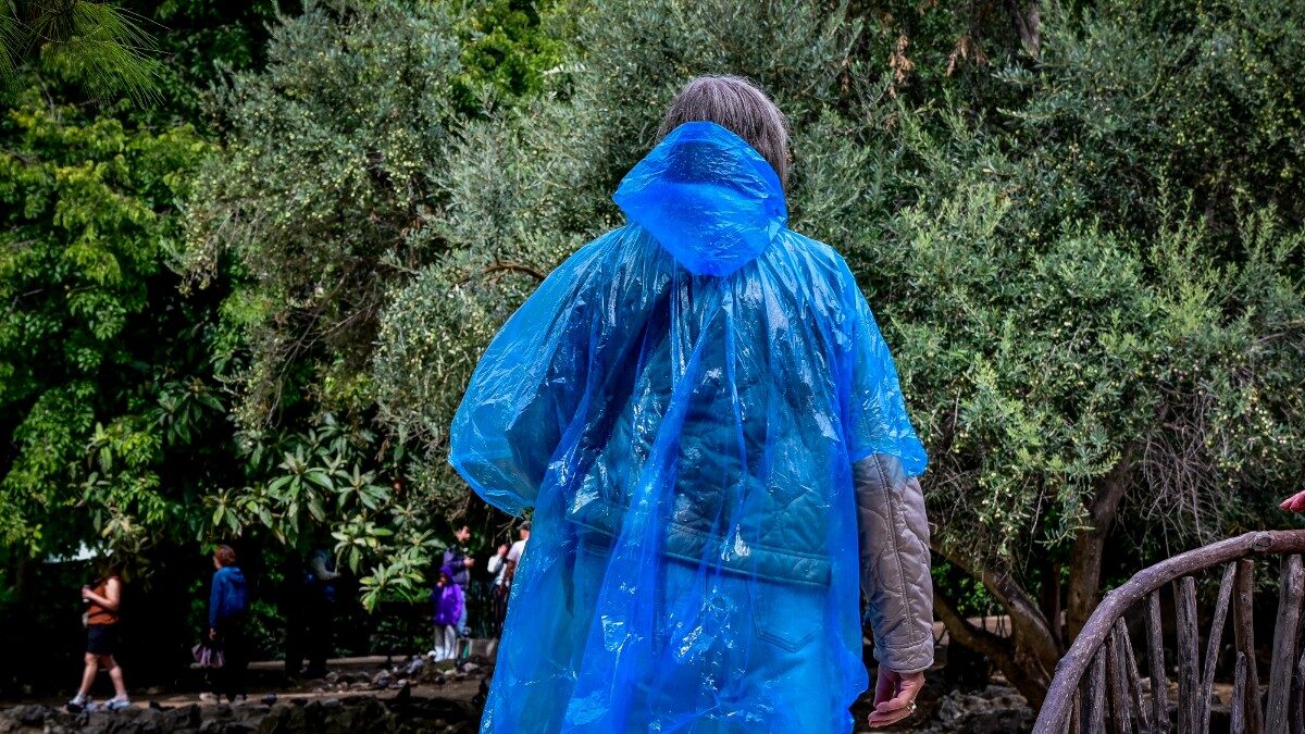 (ΜΙΧΑΛΗΣ ΠΑΠΑΝΙΚΟΛΑΟΥ