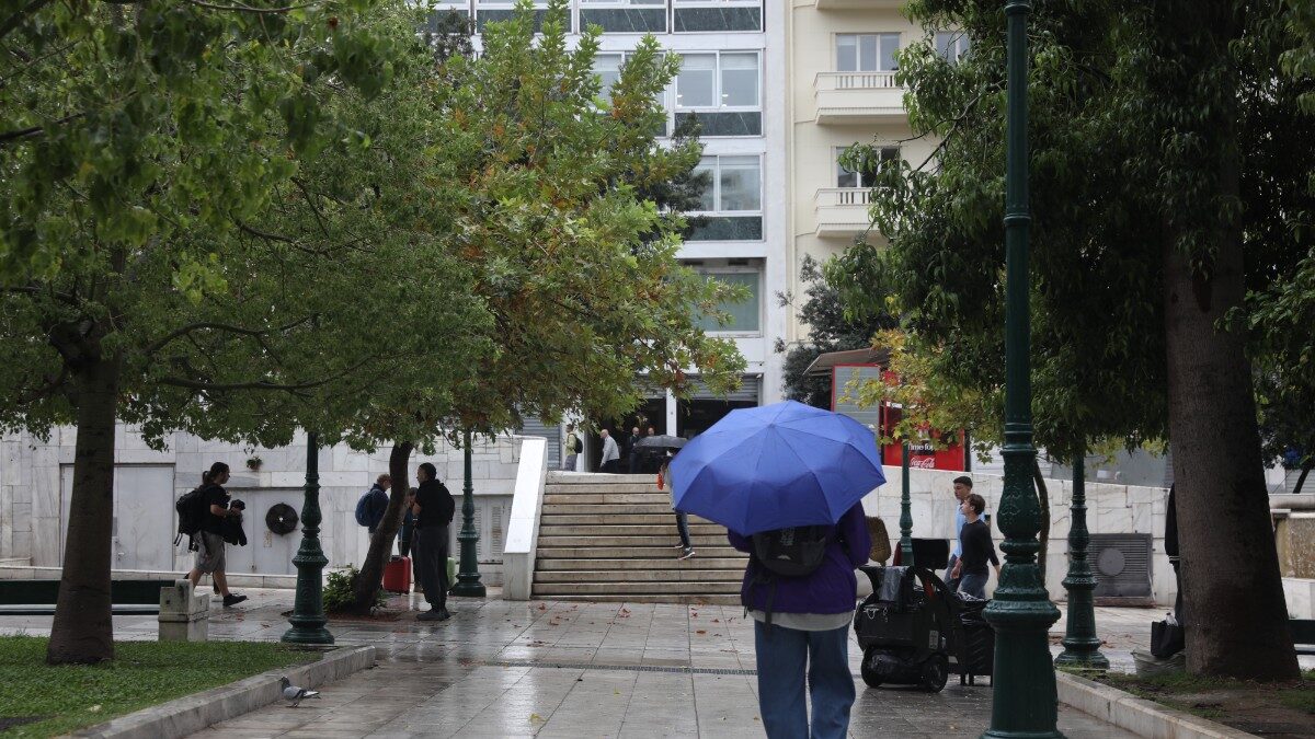 (ΔΑΝΑΗ ΔΑΥΛΟΠΟΥΛΟΥ