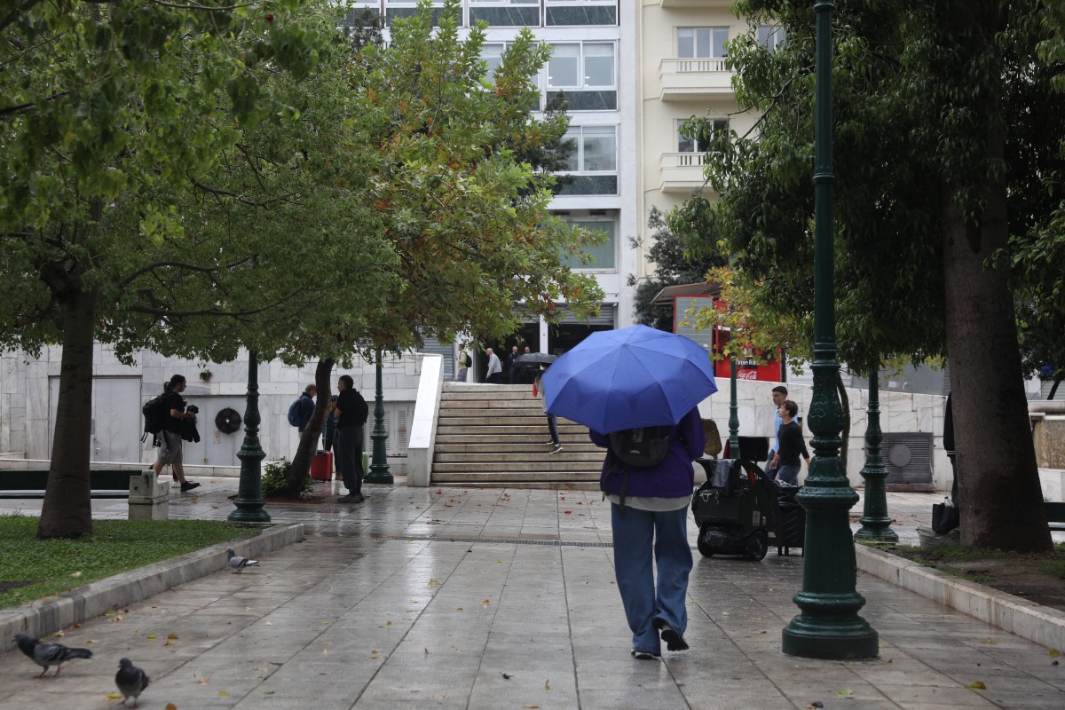 (ΔΑΝΑΗ ΔΑΥΛΟΠΟΥΛΟΥ
