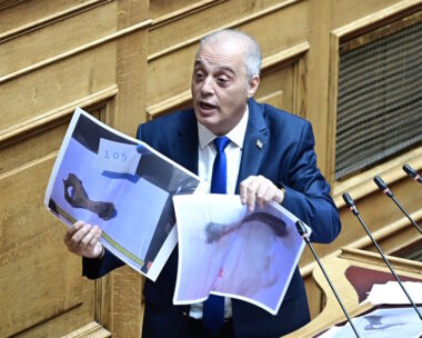 Πλακιάς: Έκπληκτος είδα τον Βελόπουλο να δείχνει φωτογραφίες οστών ζώων στη Βουλή υποστηρίζοντας ότι είναι από θύματα στα Τέμπη