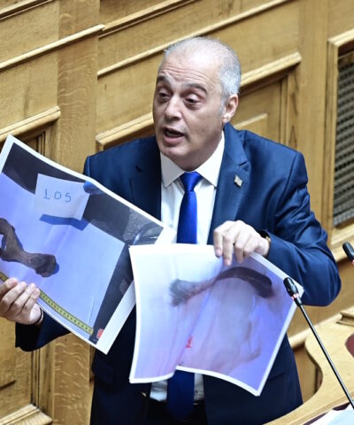 Πλακιάς: Έκπληκτος είδα τον Βελόπουλο να δείχνει φωτογραφίες οστών ζώων στη Βουλή υποστηρίζοντας ότι είναι από θύματα στα Τέμπη