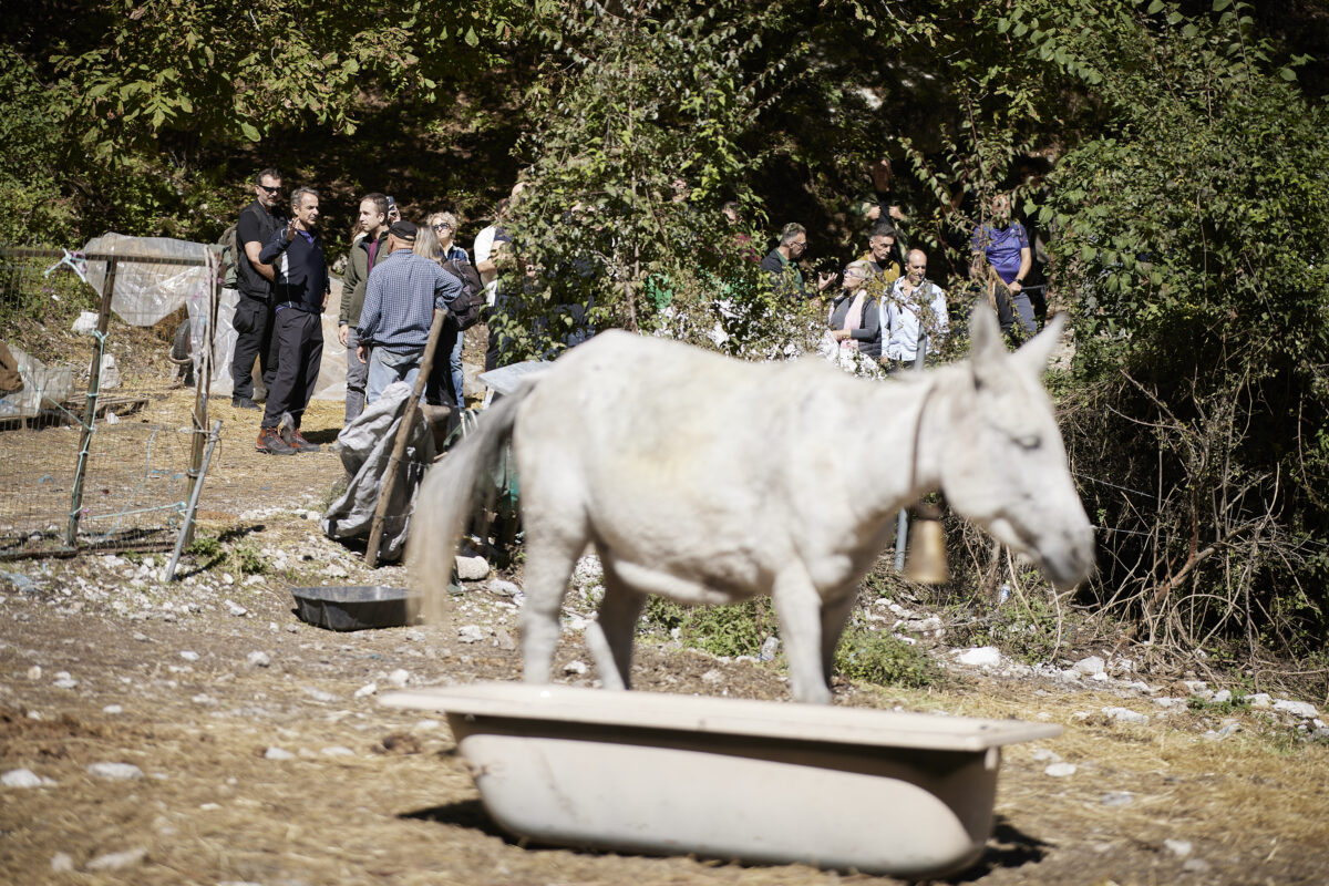 mitsotakis olimpos