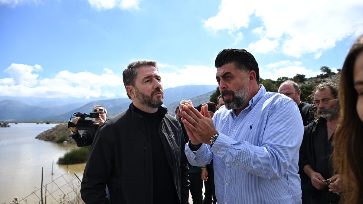 Νίκος Ανδρουλάκης, ΠΑΣΟΚ