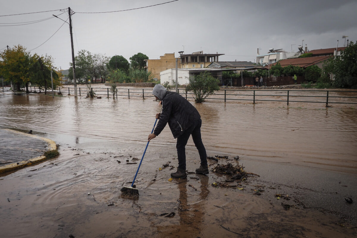 ΦΩΤΟΓΡΑΦΙΑ ΑΡΧΕΙΟΥ ΘΟΔΩΡΗΣ ΝΙΚΟΛΑΟΥ