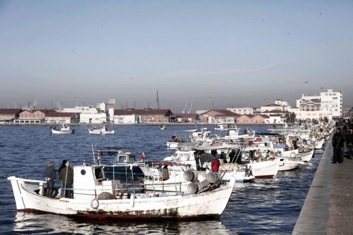 Αλιείς: Ζητούν 50 λεπτά επιδότηση πετρελαίου – Χωρίς ελληνικό φρέσκο ψάρι η αγορά | Επικαιρότητα στο LivePress.gr