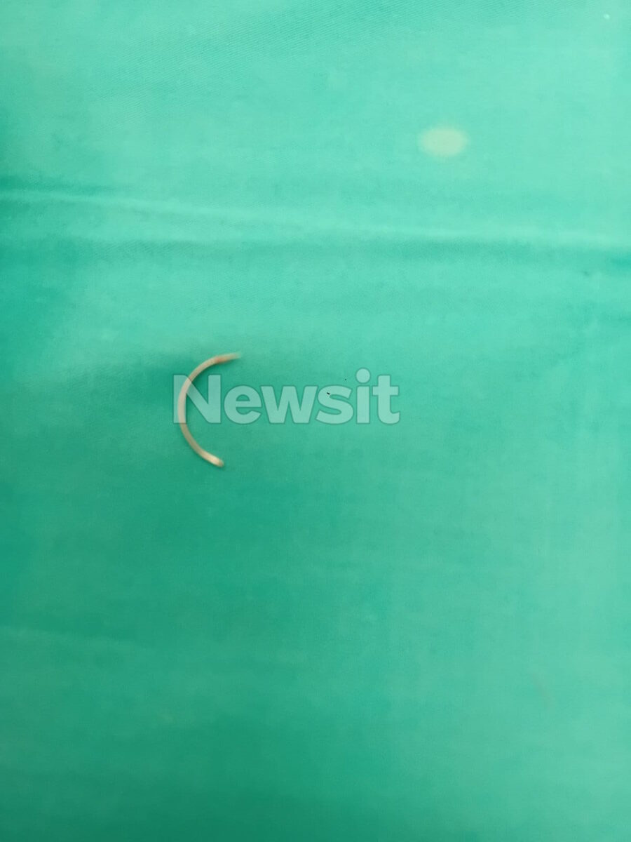 whatsapp image    at    am