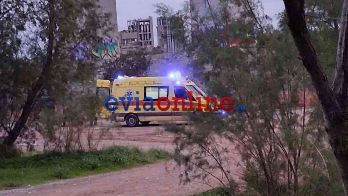 Τραγωδία στη Χαλκίδα: 19χρονος έπεσε από την Υψηλή Γέφυρα και σκοτώθηκε
